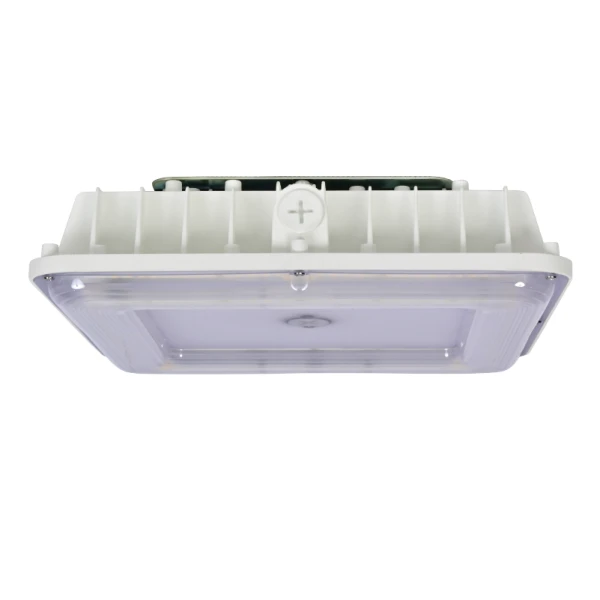 Led Can Lekapan