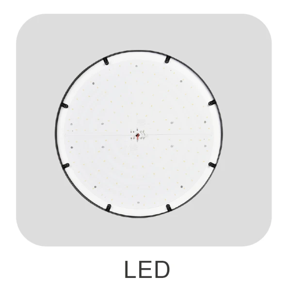 DLG-S-005-3